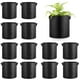thumbnail image 1 of KAKOWELY 12 bolsas de cultivo de 3 galones de tela no tejida para macetas de cultivo de plantas, para verduras, zanahorias, cebollas, flores y frutas., 1 of 4