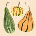 thumbnail image 2 of Warren, Annie 26x26 Black Ornate Wood Framed with Double Matting Museum Art Print Titled - Decorative Gourd II, 2 of 4