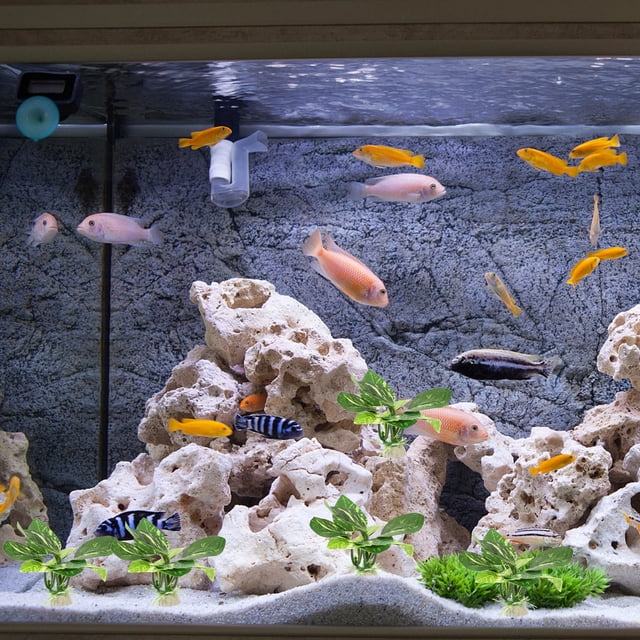 HAMPPLIES 10Pcs Small Aquarium Artificial Plants Assorted Color for Aquarium Beautification