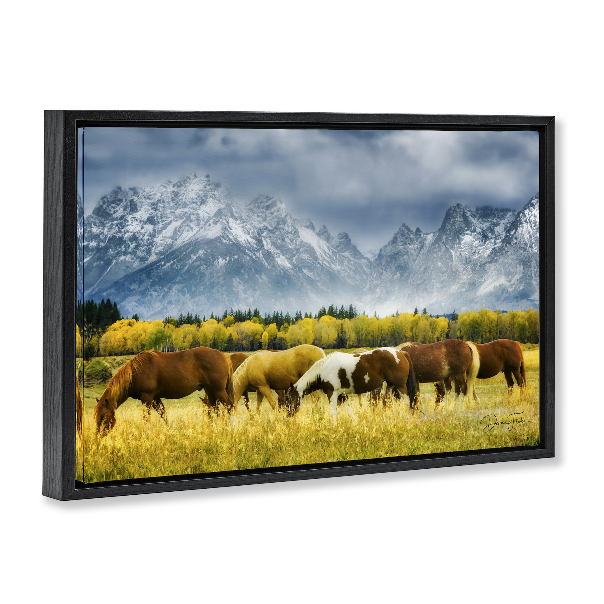 Stupell Industries Horses in Wilderness Landscape Painting Black Floater Framed Art Print Wall Art, 25 x 17