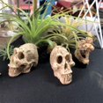 thumbnail image 4 of Aquarium Ornament Personality Exaggeration Resin Monkey Rhinoceros Goat Artificial Bone Fish Tank Landscape Decoration, 4 of 4