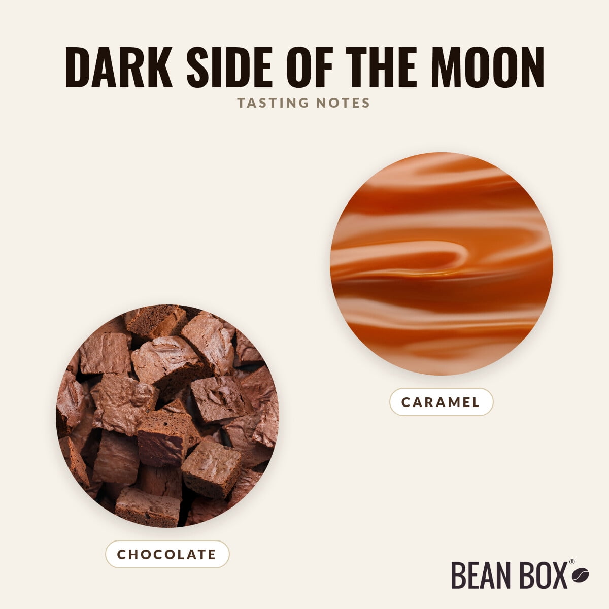 Dark Side of the Moon - Roasted by Blossom Coffee Roasters - Whole Bean Coffee - 2lb Bag