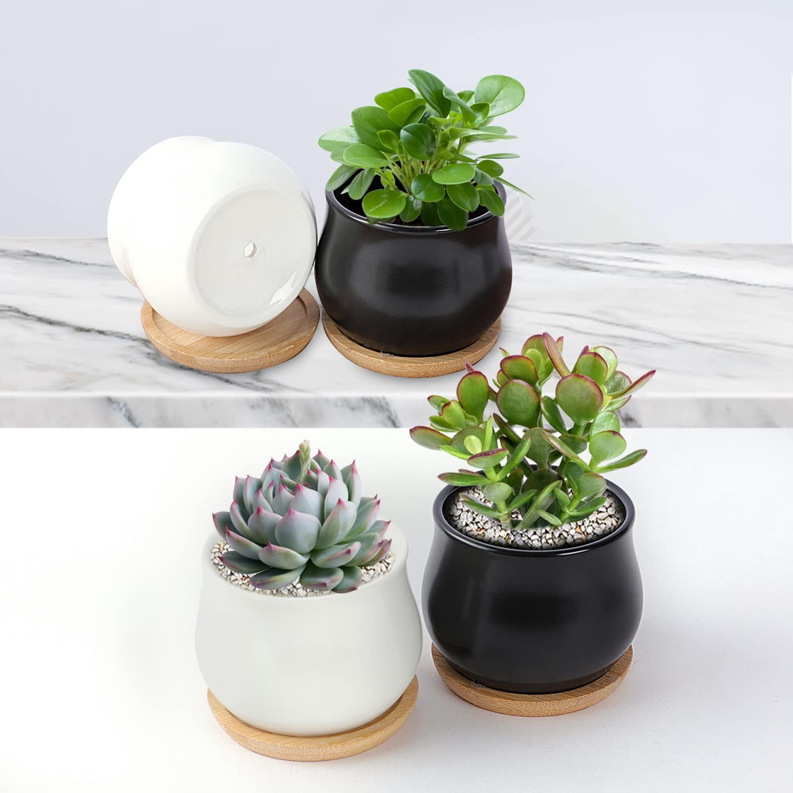 2 Pack Mini Ceramic Succulent Pots 2.5 Inch with Drainage Hole, Small Flower or Cactus Planters for Indoor Gardening