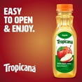 thumbnail image 2 of Tropicana 100% Apple Juice, Single Serve, 11 fl oz bottle, 2 of 13