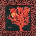 thumbnail image 2 of Paul Brent 15x15 White Modern Wood Framed Wall Art Titled - Sea Fan I, 2 of 5