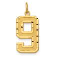 thumbnail image 1 of 14K Yellow Gold 14ky Casted Large Diamond Cut Number 9 Charm, 1 of 2
