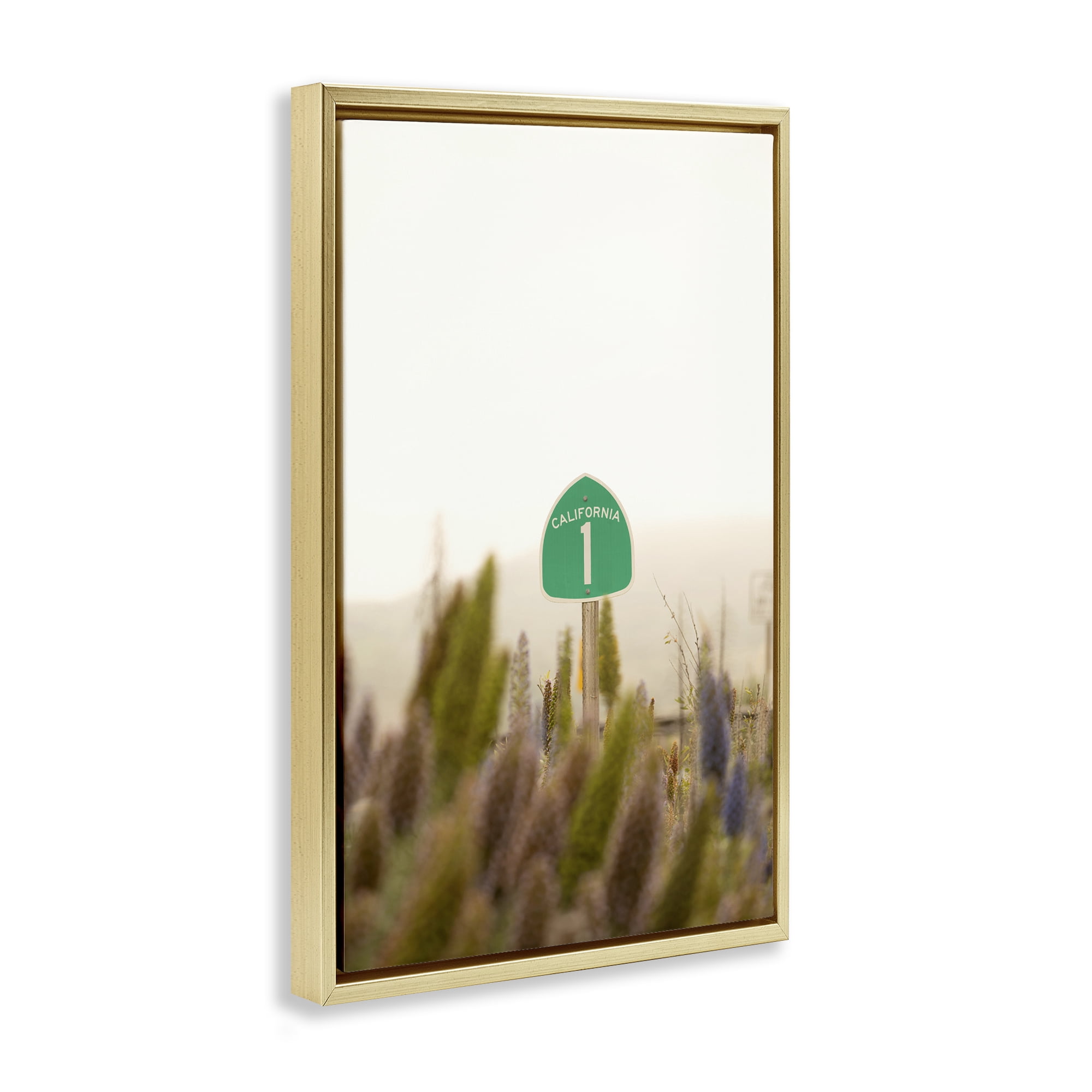 Stupell Industries California Road Sign View Landscape & Nature Photography Gold Floater Framed Canvas Art Print Wall Art, 21 x 31