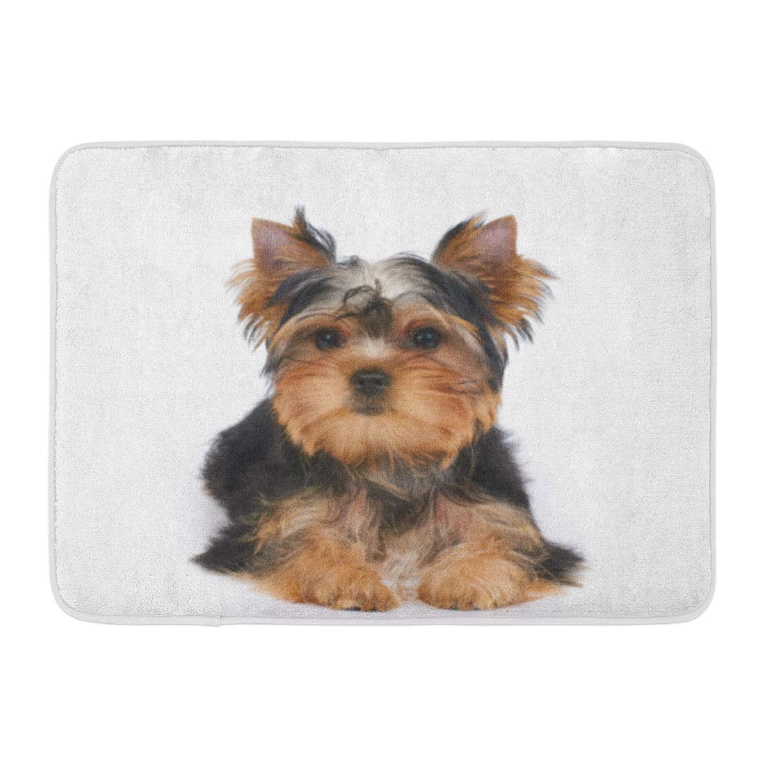Sidonku Dog One Puppy Of The Yorkshire Terrier Lies On White Small Yorkie Adorable Doormat Floor Rug Bath Mat 23 6x15 7 Inch Walmart Com Walmart Com