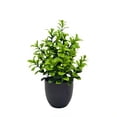 thumbnail image 2 of Linnome Artificial Green Plants Potted Fake Foliage Shrubs with Dark Pots Mini Faux Greenery for Desk Shelf Indoor Home Tabletop Decor, 2 of 7