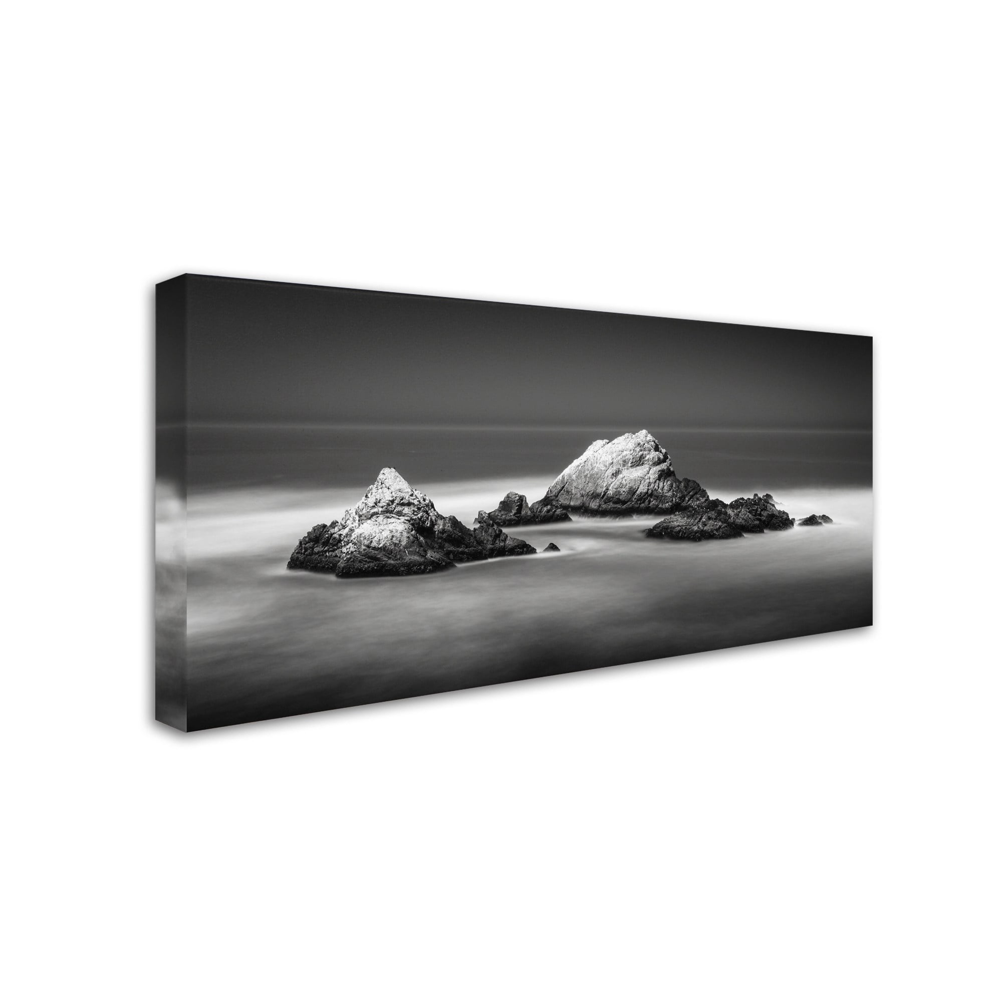 Trademark Fine Art Dave MacVicar 'Seal Rocks' 24 x 47 (ALI0851-C2447GG)