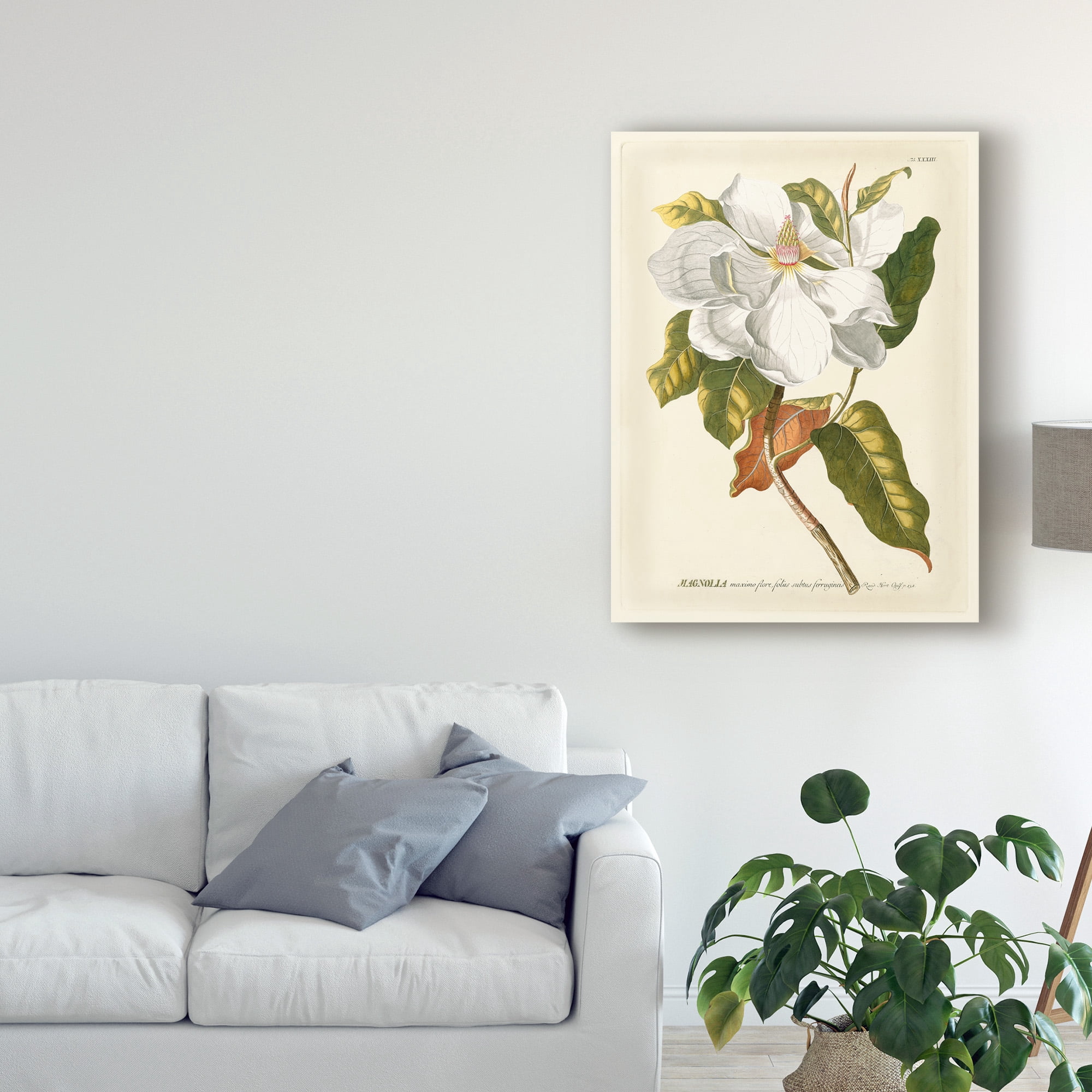Trademark Fine Art 'Magnificent Magnolias I' Canvas Art by Jacob Trew