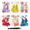 Paquete De Material De Plantas Secas Paquetes de material de flores secas de 6 piezas Kit de pinzas y flores secas prensadas reales