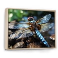 thumbnail image 2 of Designart "Dragonfly Dance in Blue Hues I" Animals Framed Wall Art - Modern Farmhouse Blue Dragonfly Bedroom Framed Canvas Wall Art, 2 of 6