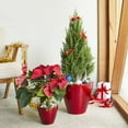 thumbnail image 4 of 2-Pack Smart Self-watering Planter Pot for Indoor and Outdoor - Red - Round Cone, 4 of 5