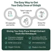 Organics Ocean One-Per-Day Shilajit Supplement – High Potency Formula – 30 Capsules – Skin & Bone Support