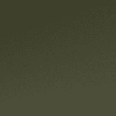 Elevated olive