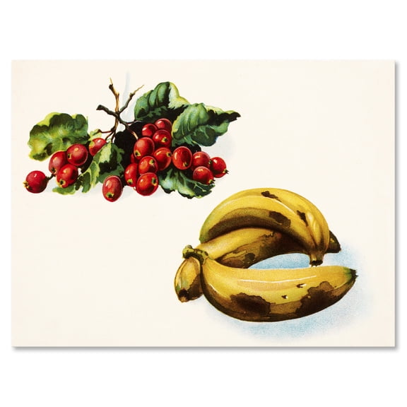 Designart ' Red Berries and Banana ' Farmhouse Canvas Wall Art Print