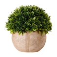 thumbnail image 5 of Plantas artificiales, pequeñas plantas falsas, decoración de baño, mini hierba verde de plástico en maceta, plantas de imitación, vegetación de plástico para cocina casera de granja, 5 of 5