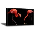 thumbnail image 1 of Awkward Styles Girls Room Decor Cute Room Decorations Beautiful Flamingo Picture Black Room Wall Art Flamingo Room Wall Decor Flamingo Canvas Decor Ideas Ready to Hang Picture Home Decor Ideas, 1 of 7