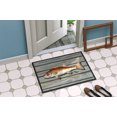 thumbnail image 2 of Carolines Treasures 8489-JMAT 36 x 24 Po Poisson Rouge Paillasson Intérieur Ou Extérieur, 2 of 4