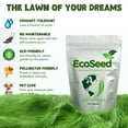 thumbnail image 5 of Earthwise EcoSeed Grass Seed Mix, Fine Fescue Blend, No Mow, Drought & Shade Tolerant Lawn Seed, 1 lb, Covers 200 Sq ft, 5 of 10