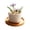 D, variant on Personalized Mini Birth Month Flower Pot, Small Ceramic Vase Table Decor with Colorful Floral Design, Cute Indoor Home Desk Decoration for Living Room Office, Mother's Day Gift for Women Mom