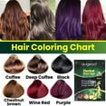 Black Hair Coloring Products For Women, 10 Mins Herbal Hair Darkening