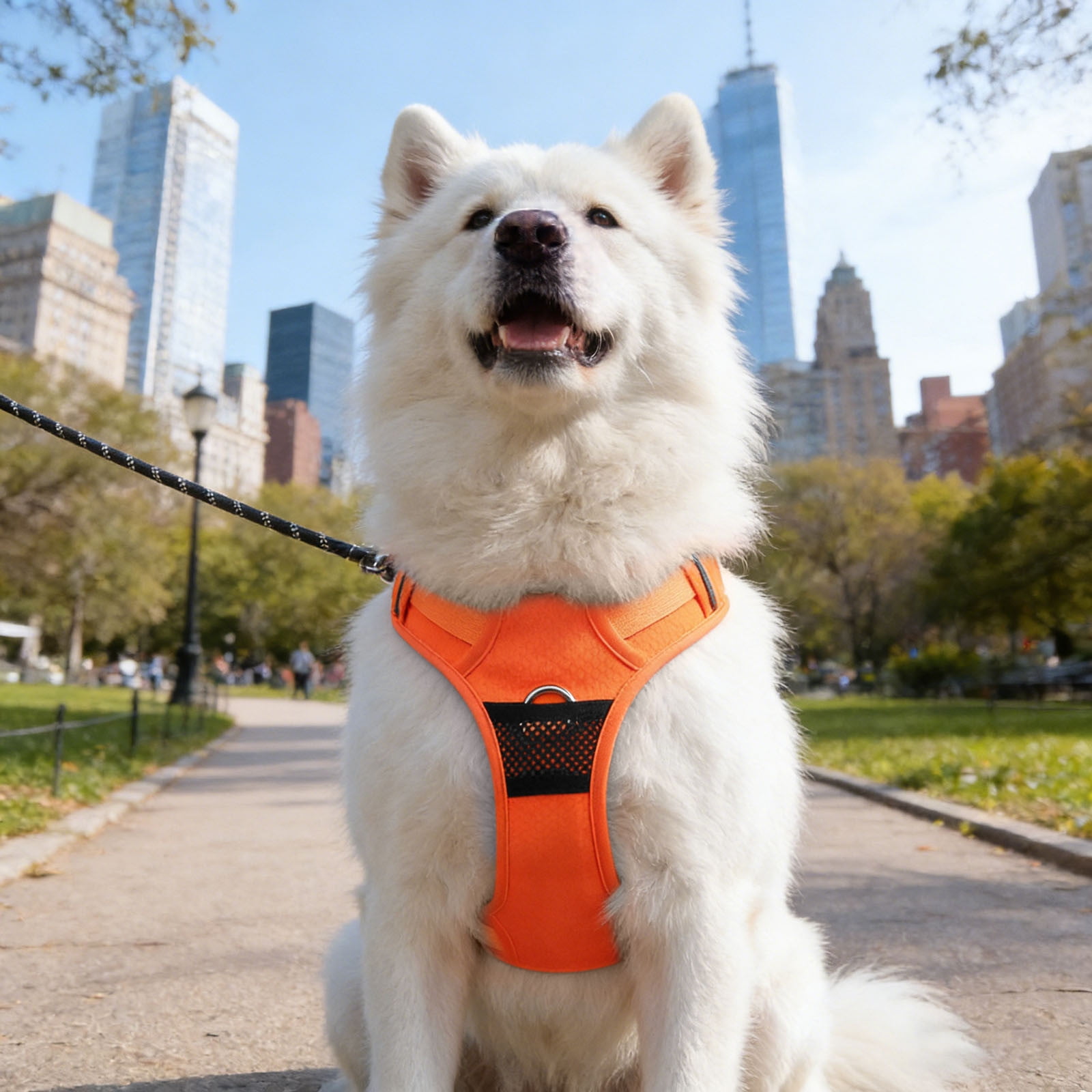 Pet Walking Harness Reflective Vest Harness for Dogs and Cats Breakaway Design for Safe Walking without Leash Pet Body Gear Orange - XL