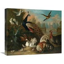 22 in. A Peacock & Other Birds Art Print - Marmaduke Cradock