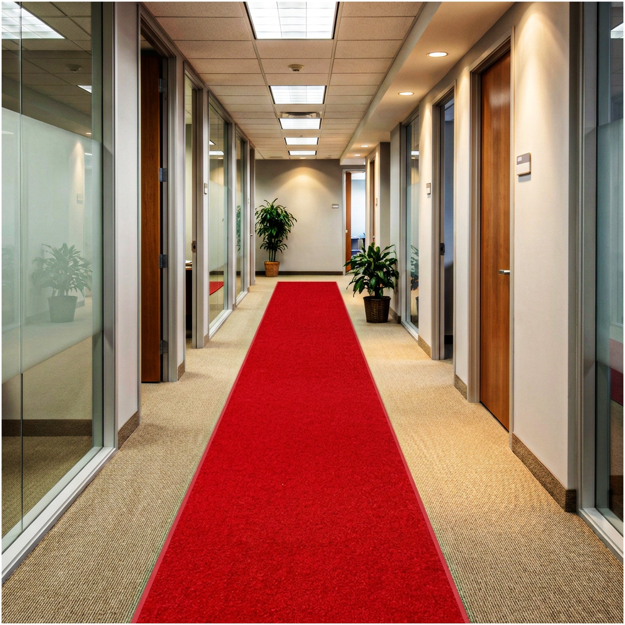 Koeckritz Rugs Red Carpet Aisle Runner Indoor/Outdoor Area Rug, 4' x 25'