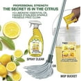 thumbnail image 2 of Tiny House Multi-Surface & Stainless Cleaner Refill Bag, 2 of 2