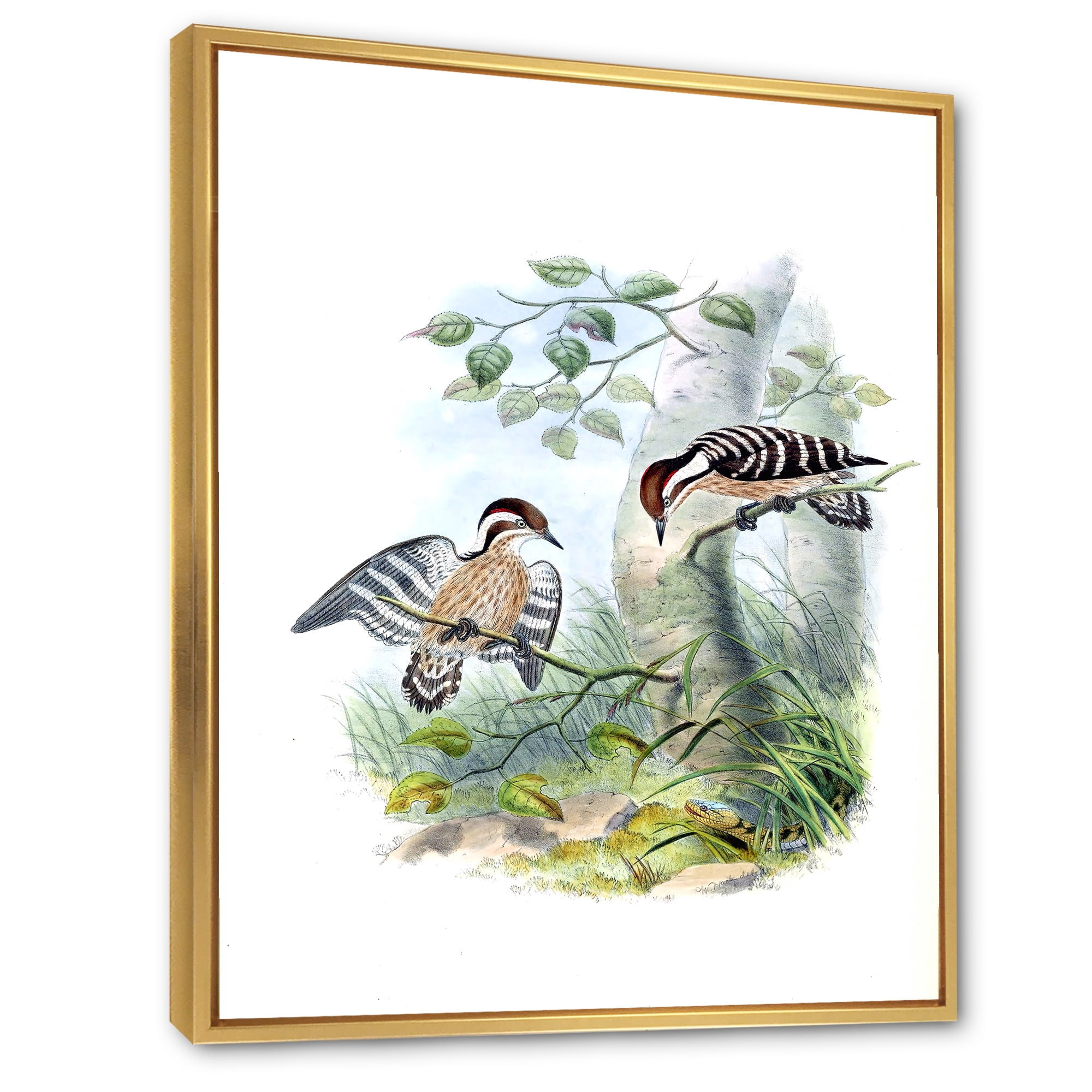 Designart 'Ancient Birds In The Wild I' Traditional Framed Canvas Wall Art Print