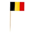 thumbnail image 2 of Country Flag Toothpicks | Cake And Burger Decorative Sticks | Flags For Themed Meals, 2 of 5