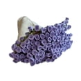 thumbnail image 3 of Kit de crochet de manta de flores, bricolaje para ramo elegante regalos kit de inicio de crochet juego de tejido de tejido para adultos iniciales Púrpura, 3 of 8