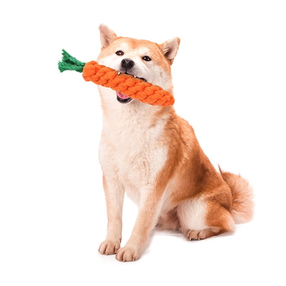 1Pcs Carrot Dog Rope Pet Dog Toys, Safe Dog Chew Toys Resistant Puppy ...