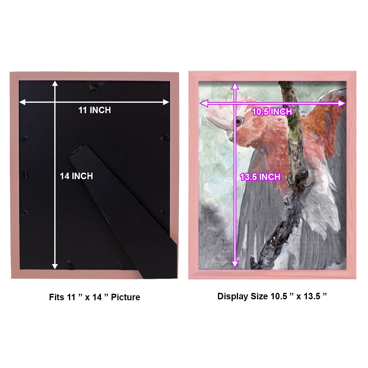Tropic Parrot II - Framed Print w/glass - Sunset Pink