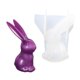 thumbnail image 2 of Bunnies Statue Silicones Candle Molds for Epoxy Resins Home Decoration Animal Figurine Silicones Molds Soap Making Molds, 2 of 4