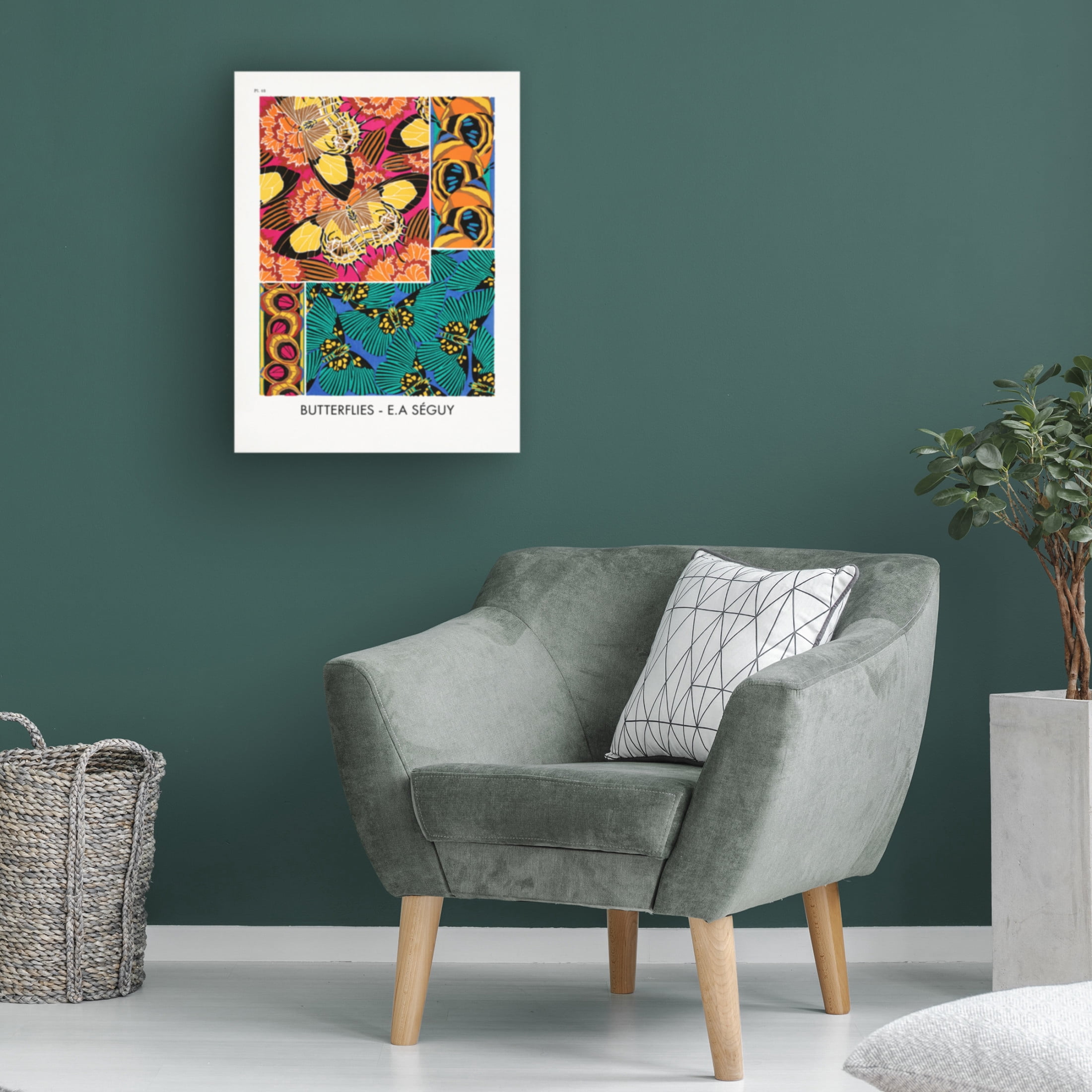 Trademark Fine Art Pictufy   Butterflies 18 Canvas Wall Art