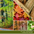 thumbnail image 2 of Yankee Candle Signature Large 2-Wick Candle, Autumn Nature Walk, 20 oz, 2 of 6