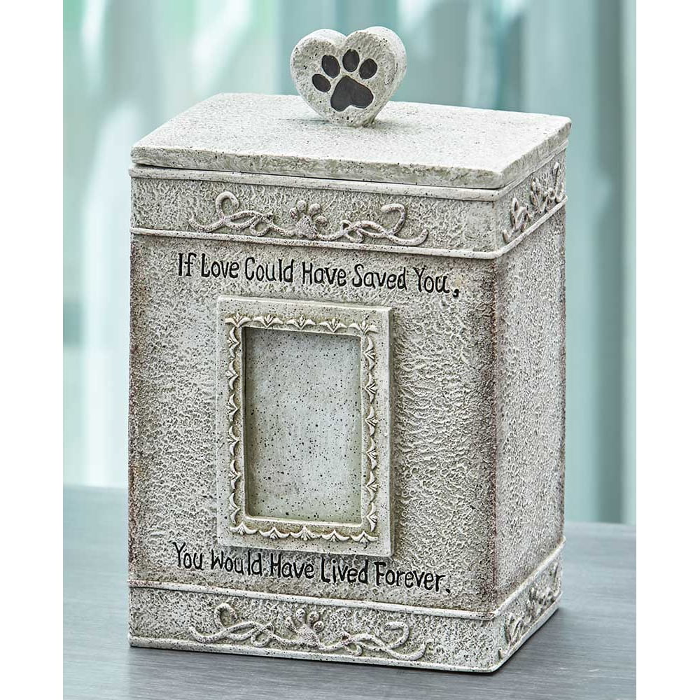 Faithful Angel Pet Memorial Figurines or UrnsVerdigris Sentimental Urn