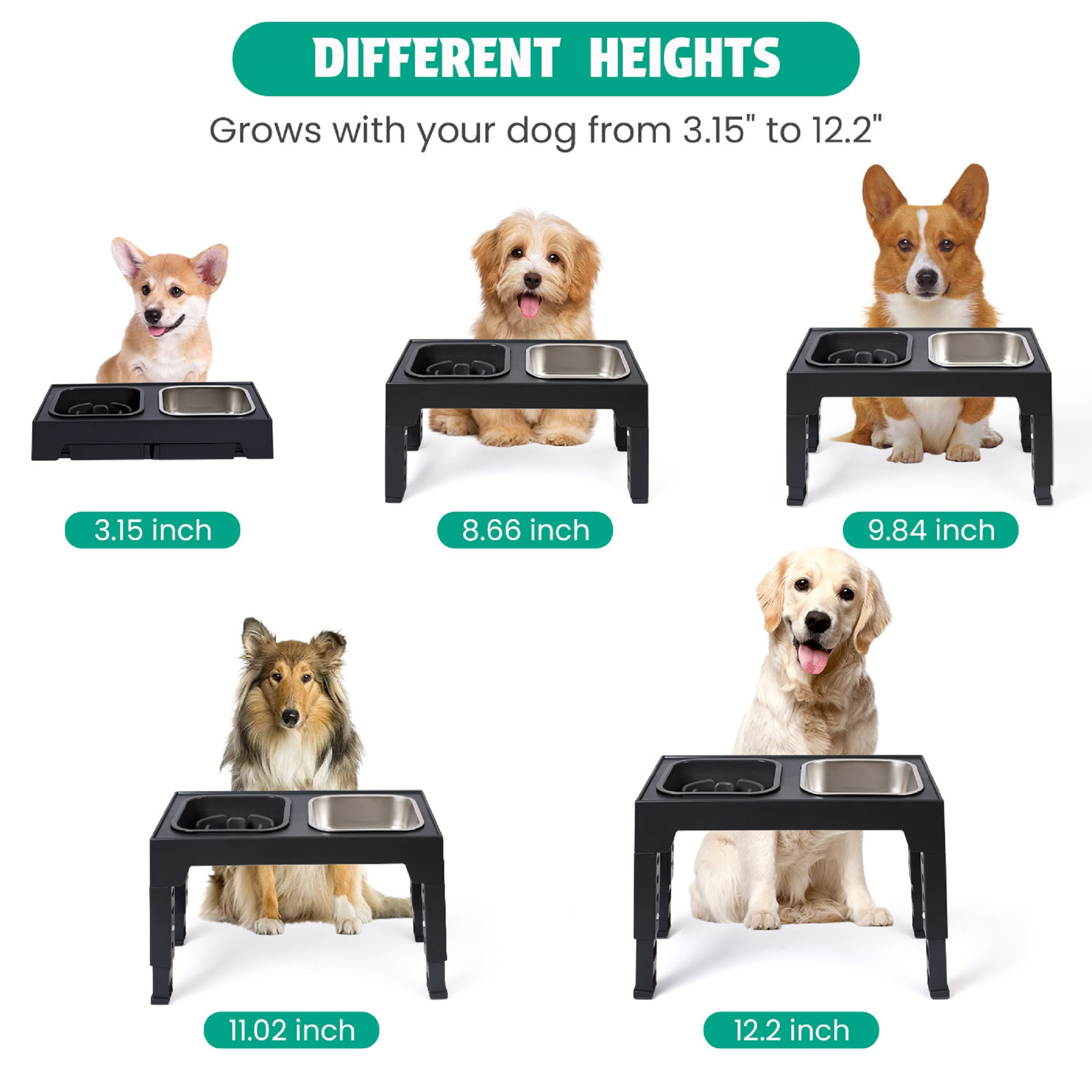 Elevated Dog Bowls, 2 Stainless Steel Dog Food Bowls, Raised Dog Bowl Adjusts to 5 Heights for Small Medium and Large Dogs,Black