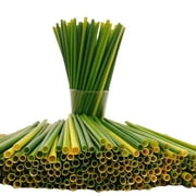 TXV Mart Eco-Friendly Disposable Party Grass Straws Drinking 100% Natural, Biodegradable, and Compostable (Pack of 100)