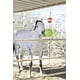 thumbnail image 4 of Horsemen's Pride Combo Horse Stall Toy: Bola alegre con aroma a manzana y soporte para refrigerios con sabor a manzana (SS203), 4 of 4