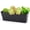 Black, variant on Window Box Planter, 12 Inches Flower Window Planteres, Rectangle Planters Box with Drainage Holes and Trays, Plastic Garden Flower Plant Pot for Windowsill Patio Garden Home Decor Porch Yard (White)