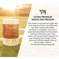 thumbnail image 2 of TrueFit Meal Replacement Shakes Powder, Cinnamon Protein Powder, Churro, 40 Servings, 2 of 6