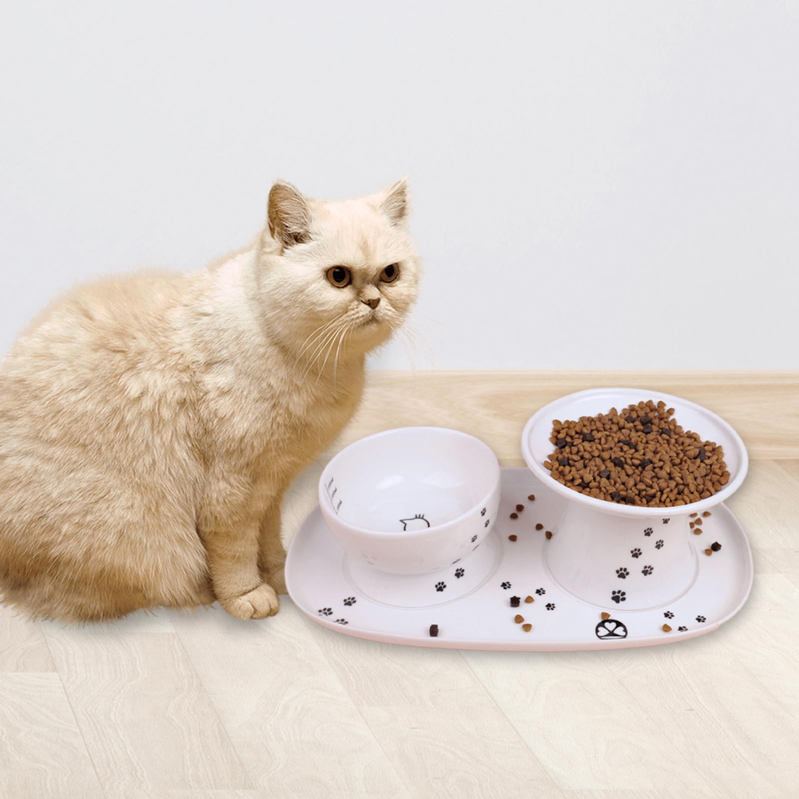 Elevated Ceramic Kitten Feeding Tray Water Bowl Tray Feeding Drinking Elevated Cat Food Bowl Platter Puppy Kitten Accessories