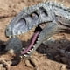 thumbnail image 5 of Tholdsy Modelo Animal juguetes hechos a mano simulación dinosaurio ligero plástico figuras niños hogar Oficina favores Navidad Juguetes Educativos, 5 of 6