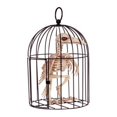 thumbnail image 1 of Décoration d'Halloween Squelette Corbeau en Cage, 1 of 1