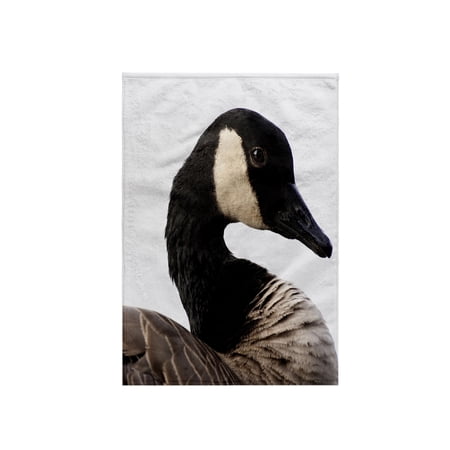 3dRose, A Canada Goose (Branta canadensis), bird - NA02 RBR0001 - Rick A. Brown, 15x22 Hand Towel