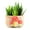 Style 1, variant on Kilisky Succulent Plant Pots Colorful Mushrooms Pattern Flower Pots Ceramic Planter for Plants Container Bonsai Pots with Drainage Hole for Home Decor (without Plants)